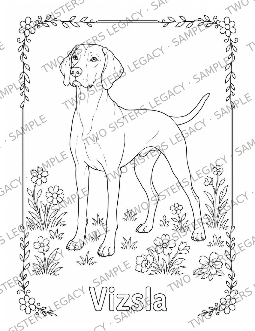 Vizsla Coloring Page cover