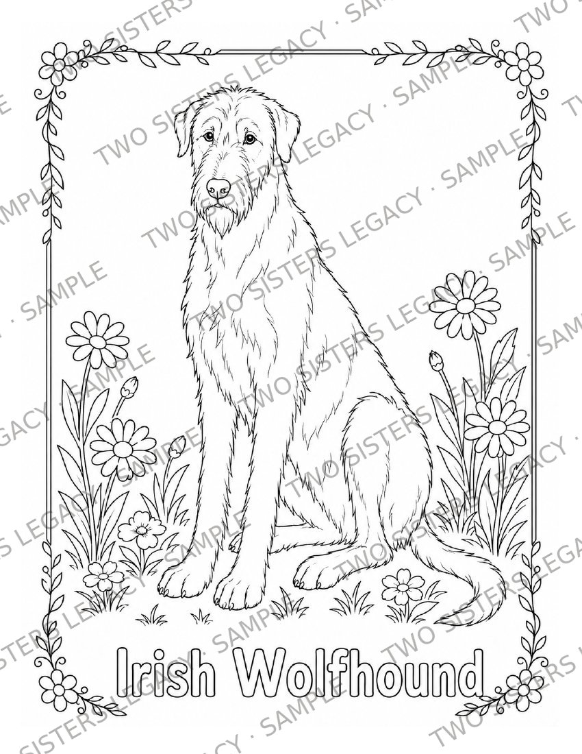 Irish Wolfhound Coloring Page cover