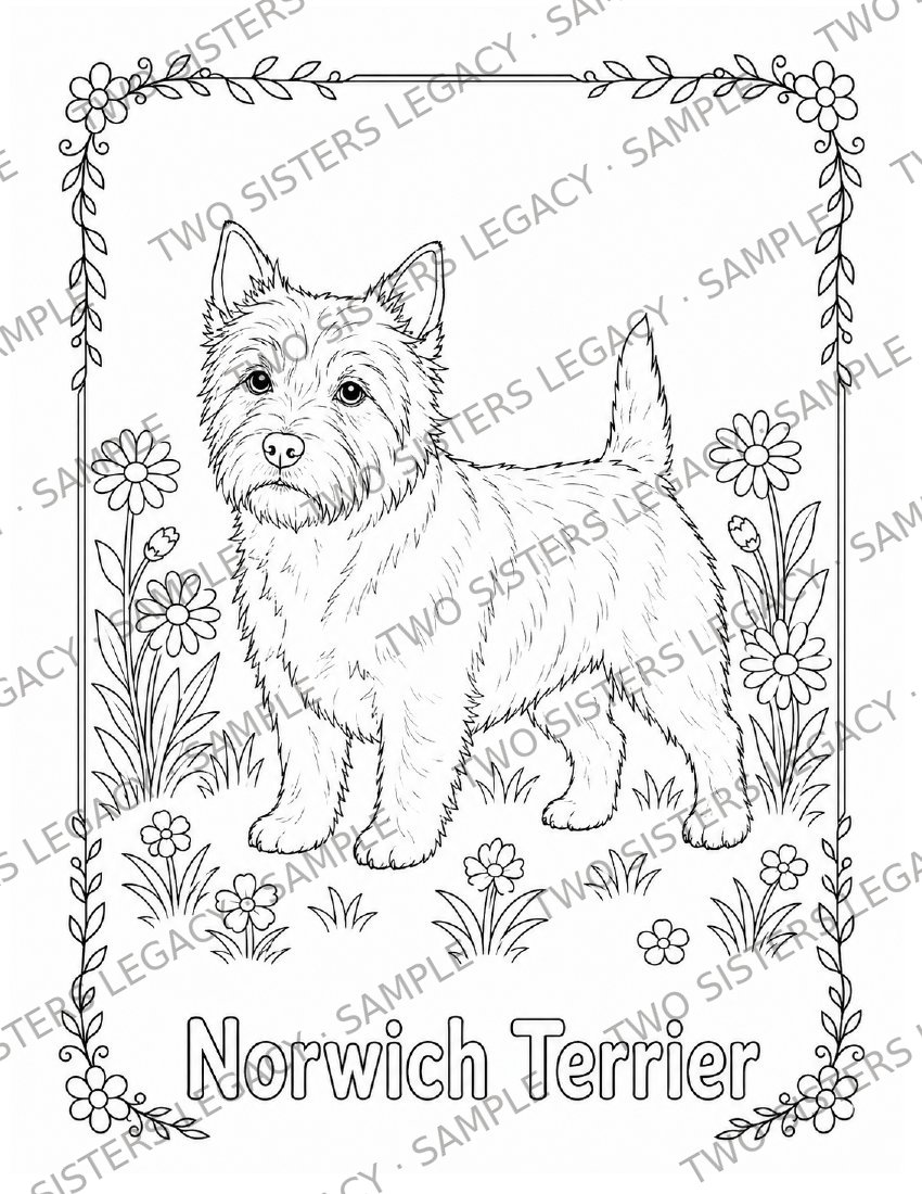 Norwich Terrier Coloring Page cover