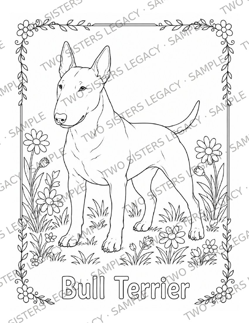 Bull Terrier Coloring Page cover