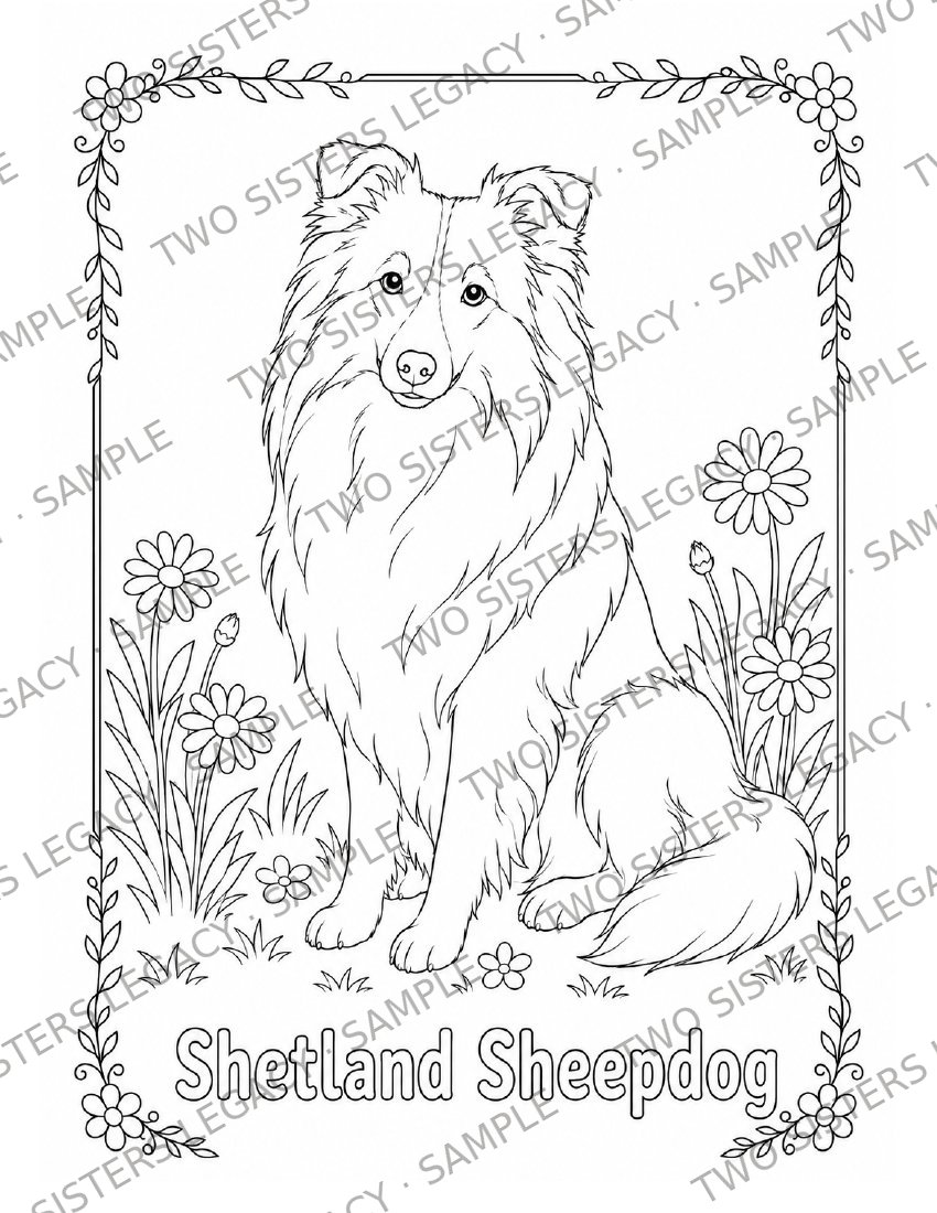 Shetland Sheepdog Coloring Page cover