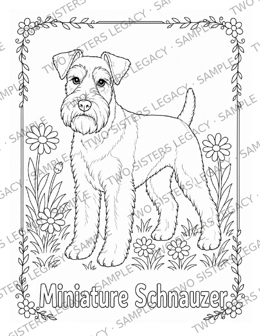 Miniature Schnauzer Coloring Page cover
