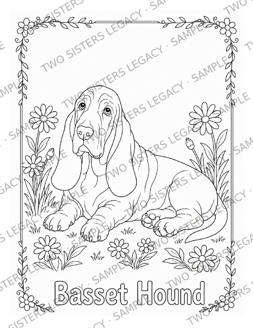 Basset Hound Coloring Page cover
