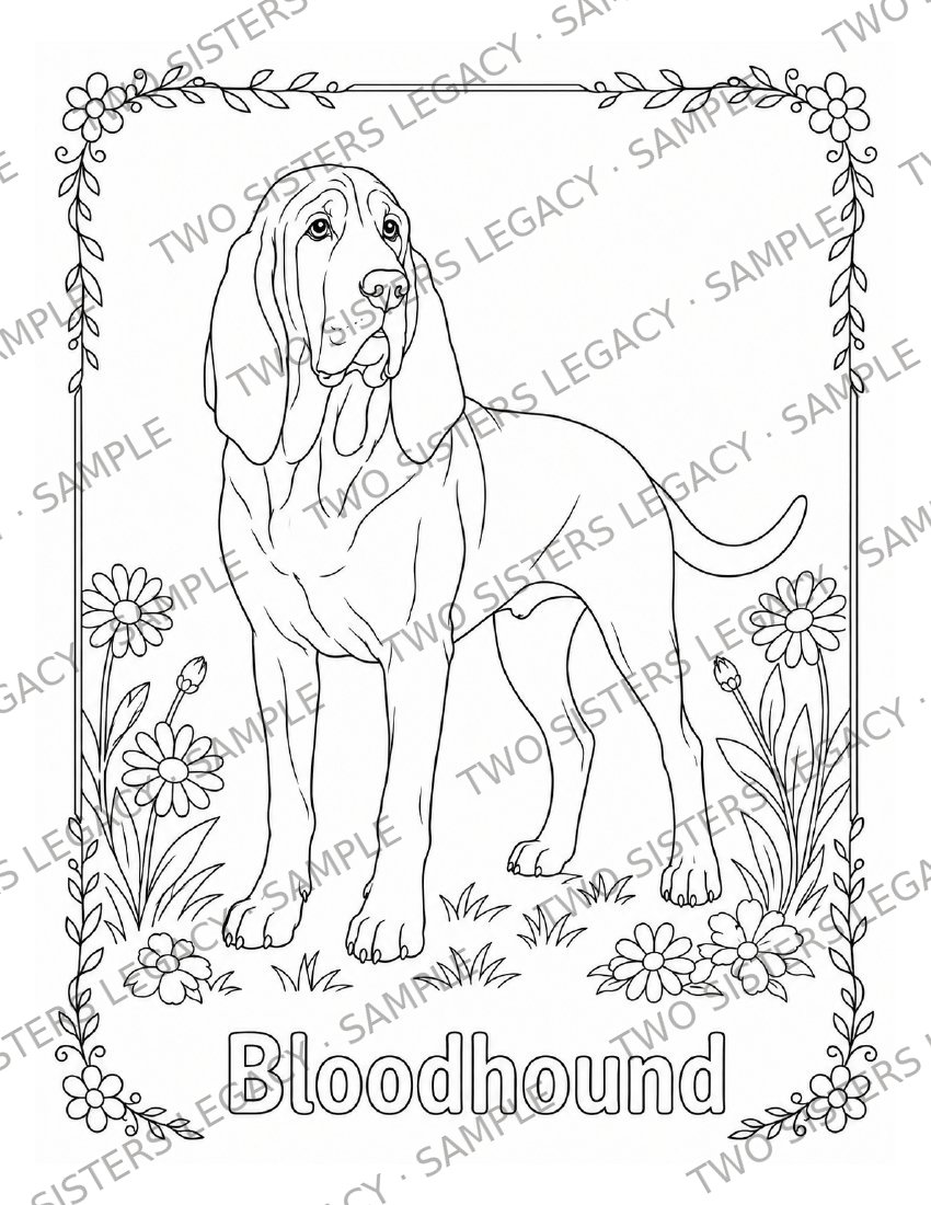 Bloodhound Coloring Page cover