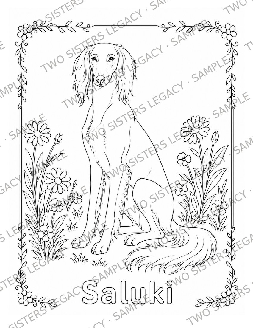 Saluki Coloring Page cover