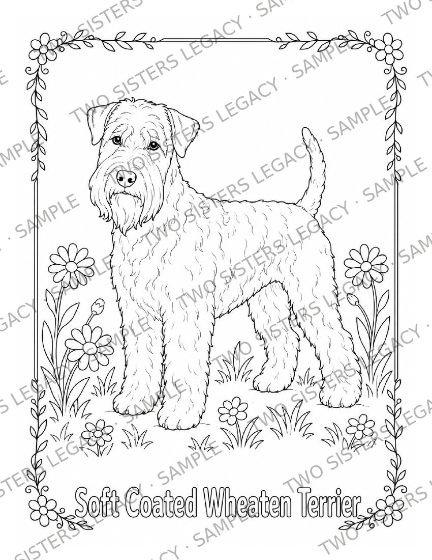 Wheaten Terrier Coloring Page cover