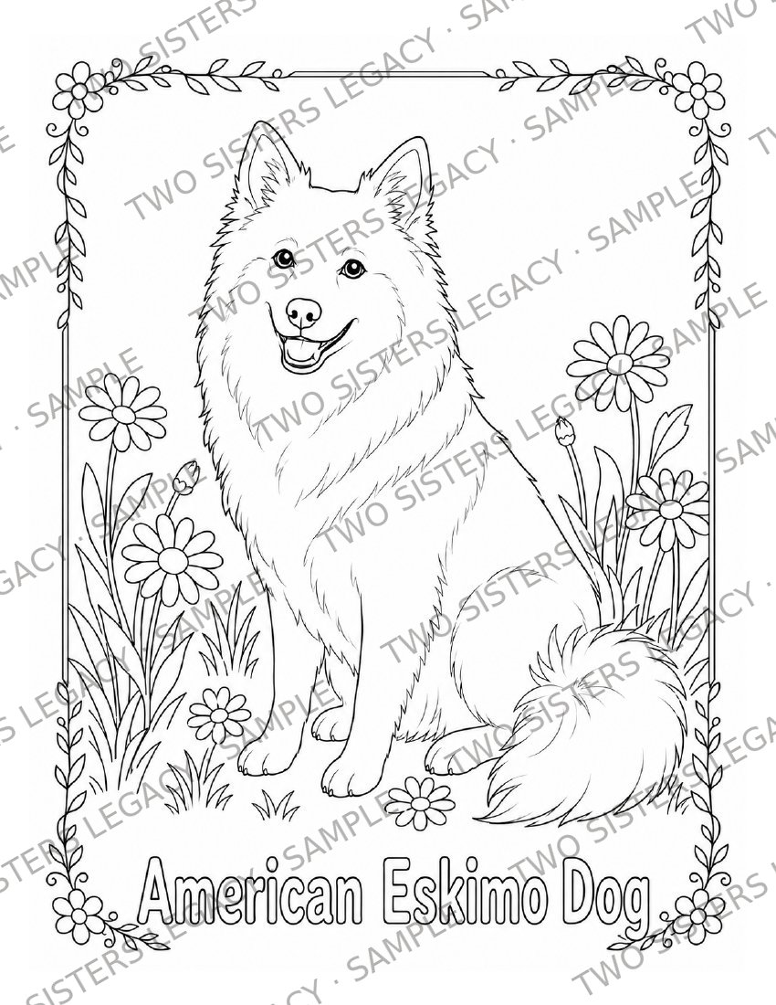American Eskimo Coloring Page cover