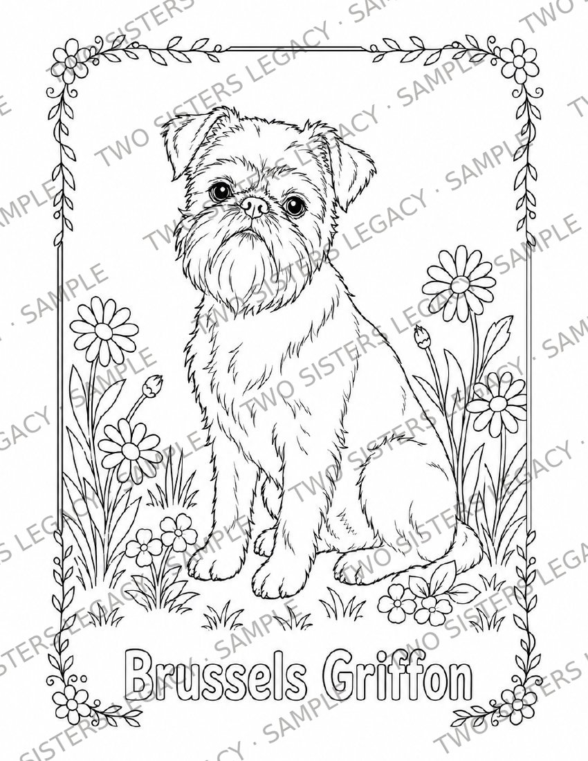 Brussels Griffon Coloring Page cover