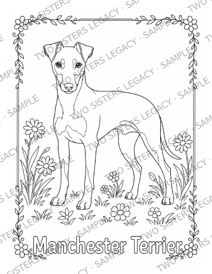 Manchester Terrier Coloring Page cover