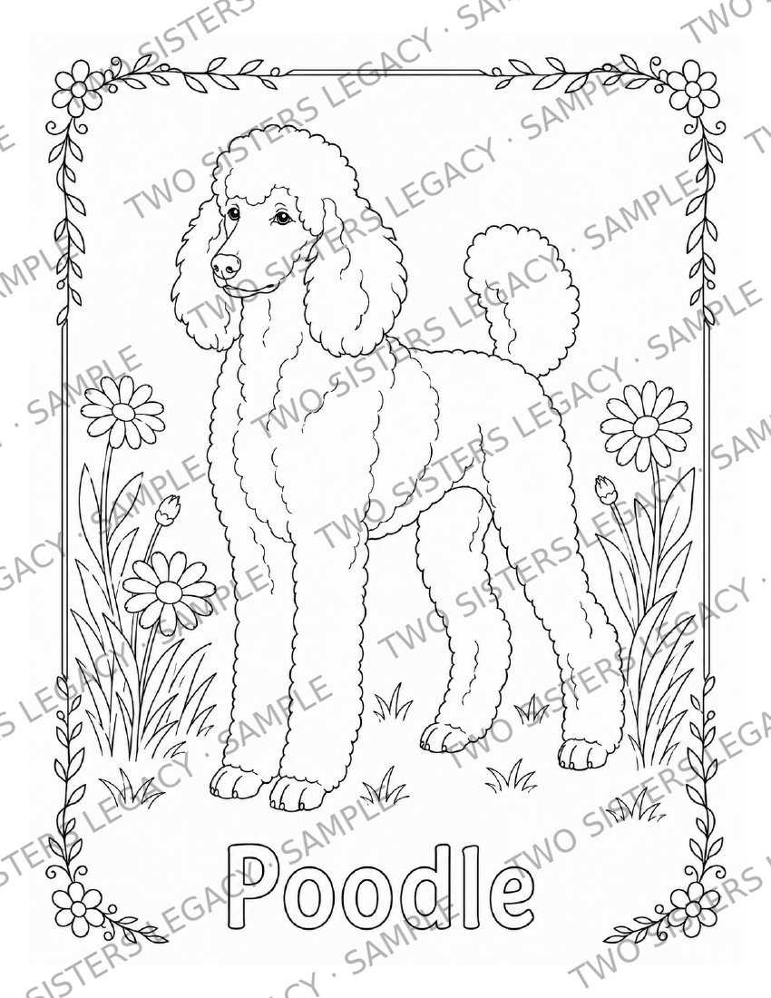 Poodle Coloring Page cover