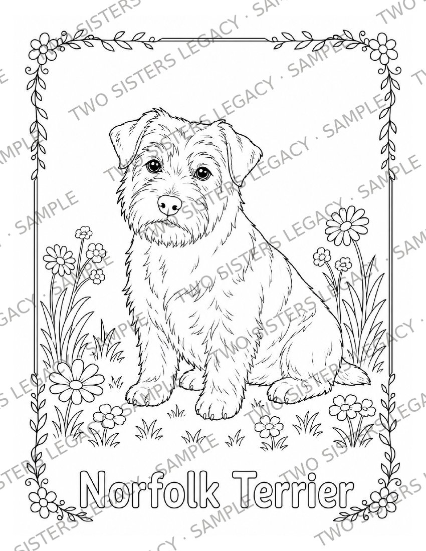 Norfolk Terrier Coloring Page cover