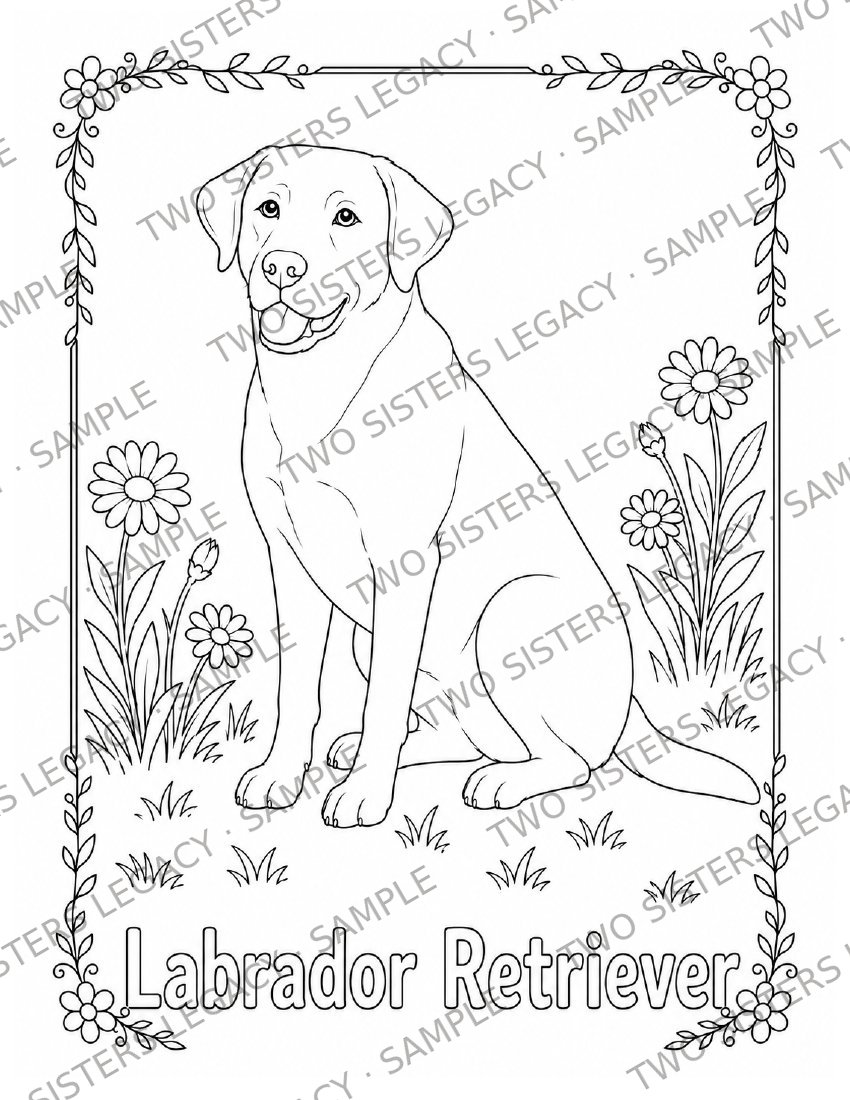 Labrador Retriever Coloring Page cover