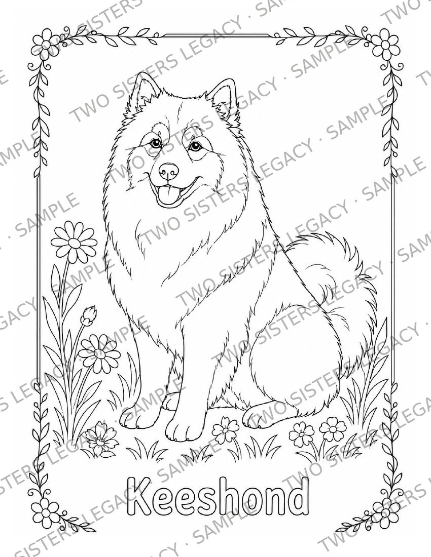 Keeshond Coloring Page cover