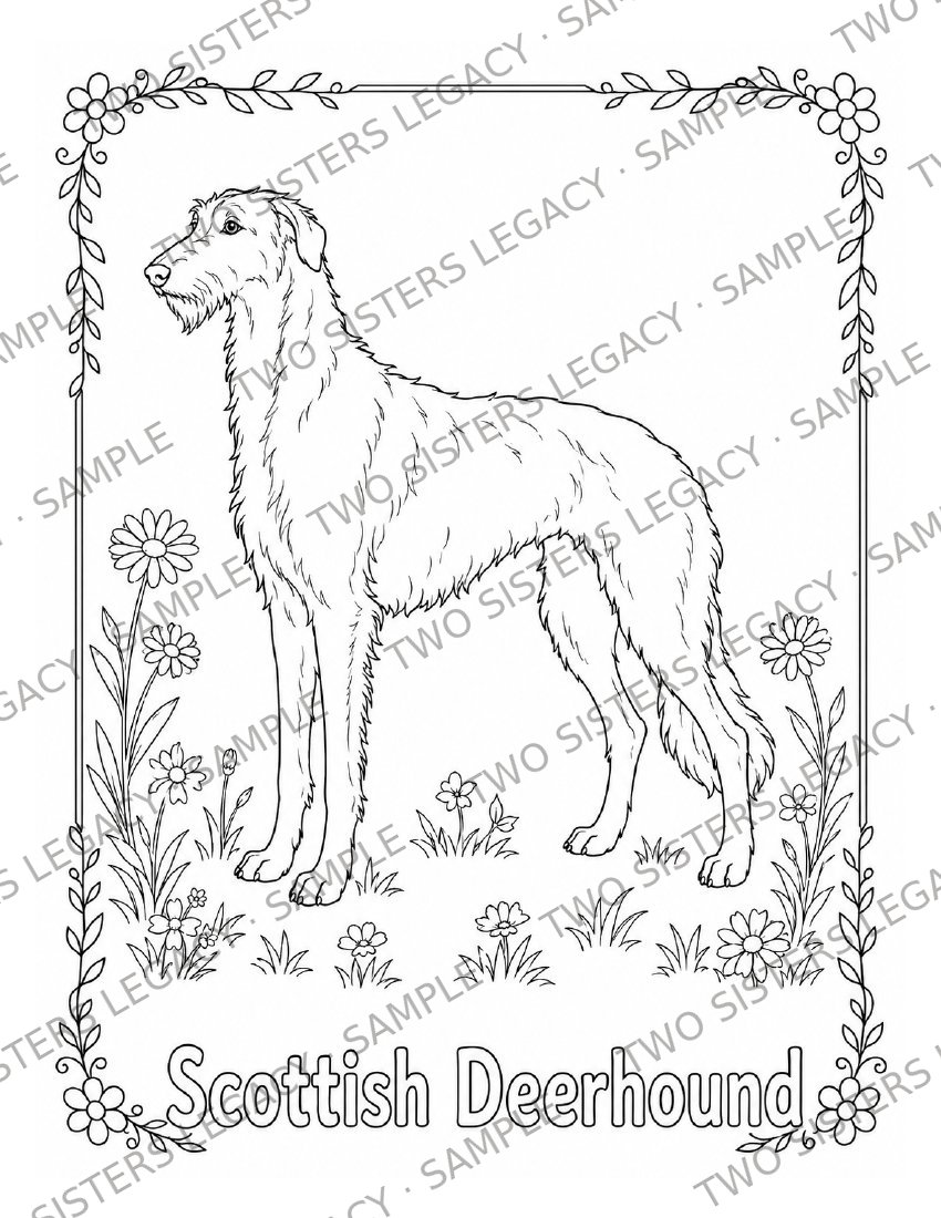 Scottish Deerhound Coloring Page cover