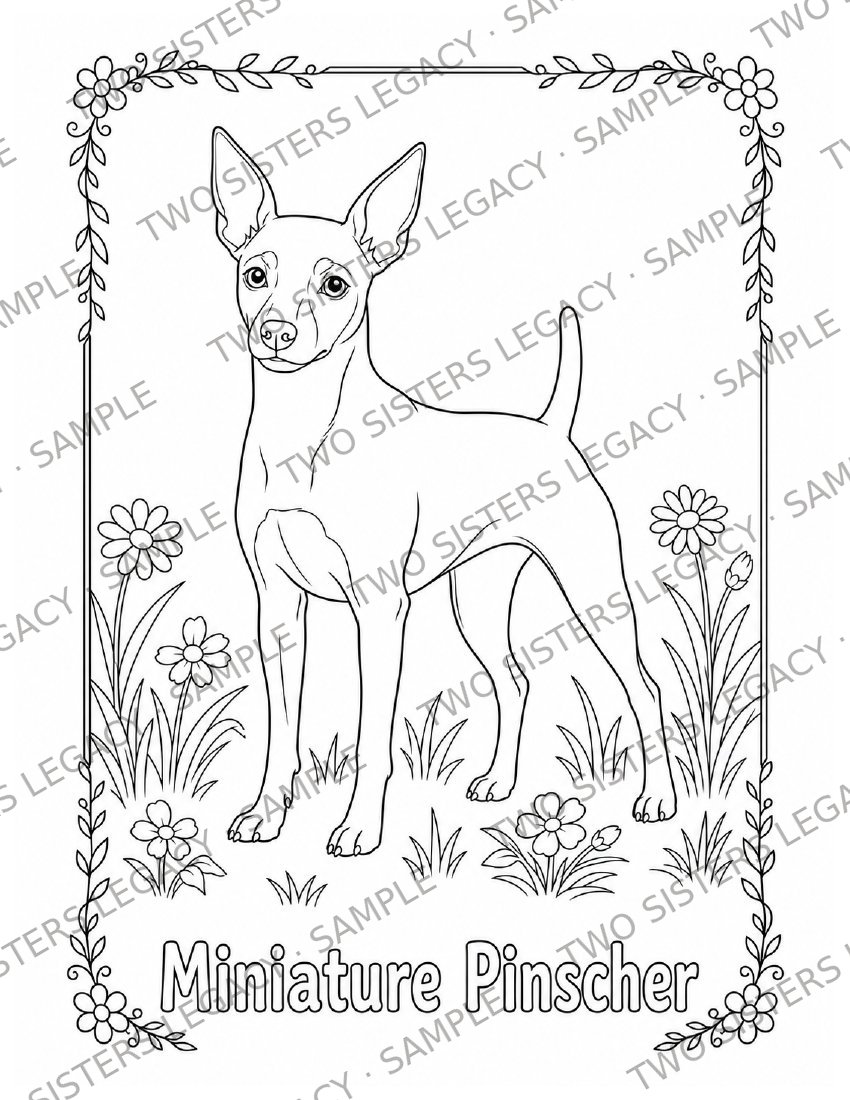 Miniature Pinscher Coloring Page cover