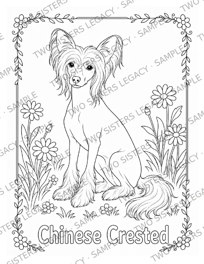 Chinese Crested Coloring Page cover
