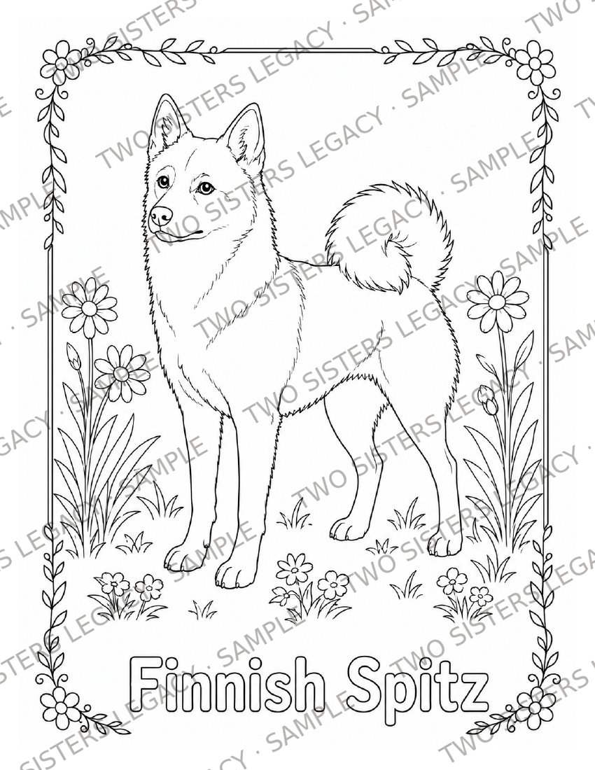 Finnish Spitz Coloring Page cover