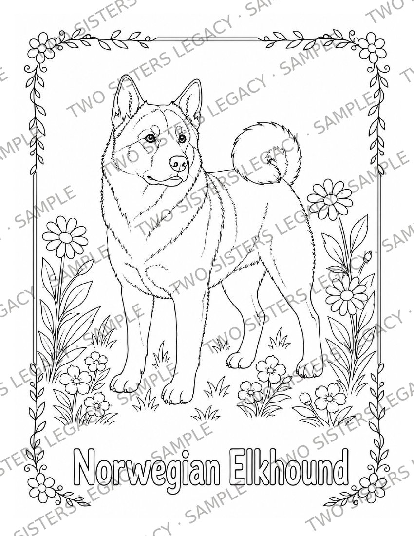 Norwegian Elkhound Coloring Page cover