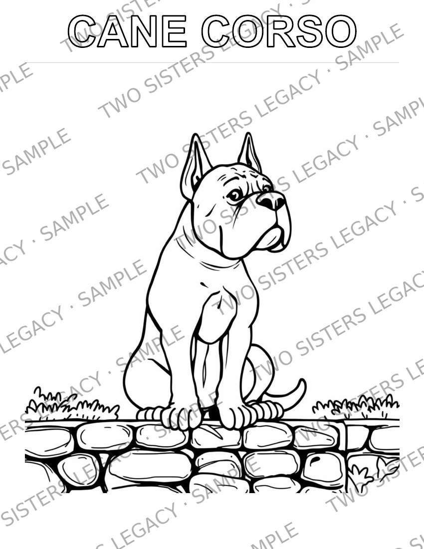 Cane Corso Coloring Page cover