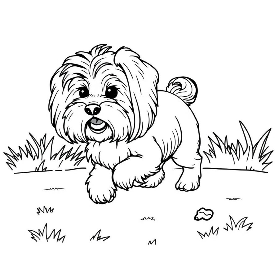 Havanese Coloring Page cover