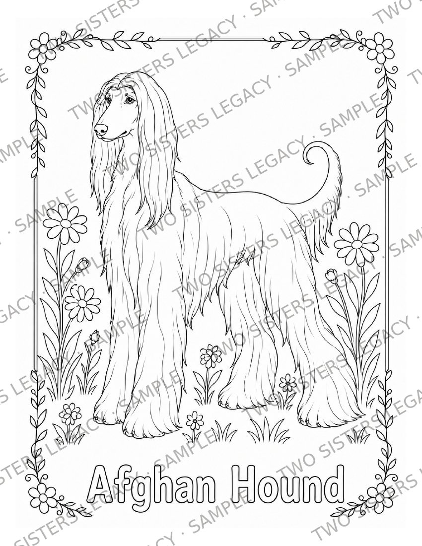 Afghan Hound Coloring Page cover