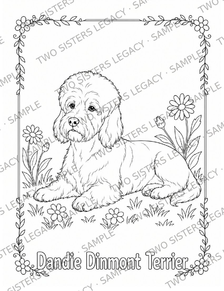 Dandie Dinmont Terrier Coloring Page cover