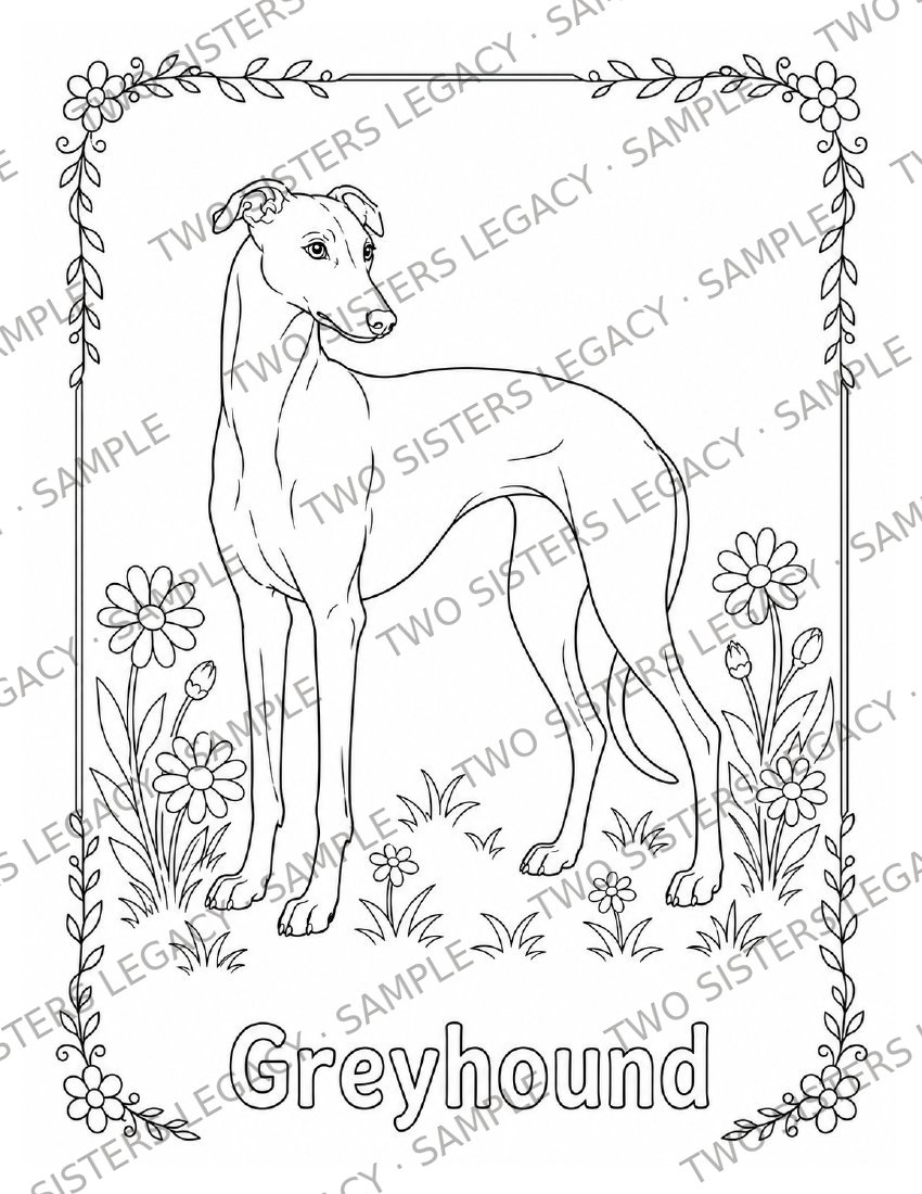 Greyhound Coloring Page cover