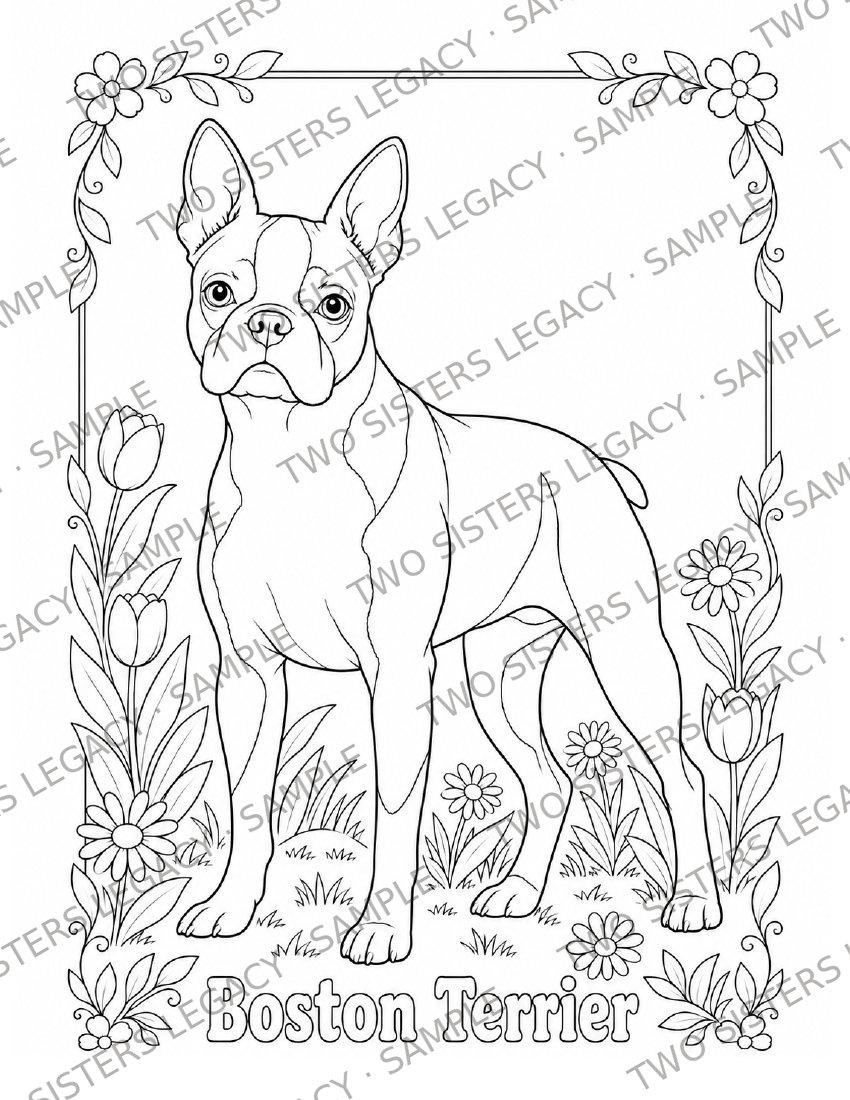 Boston Terrier Coloring Page cover