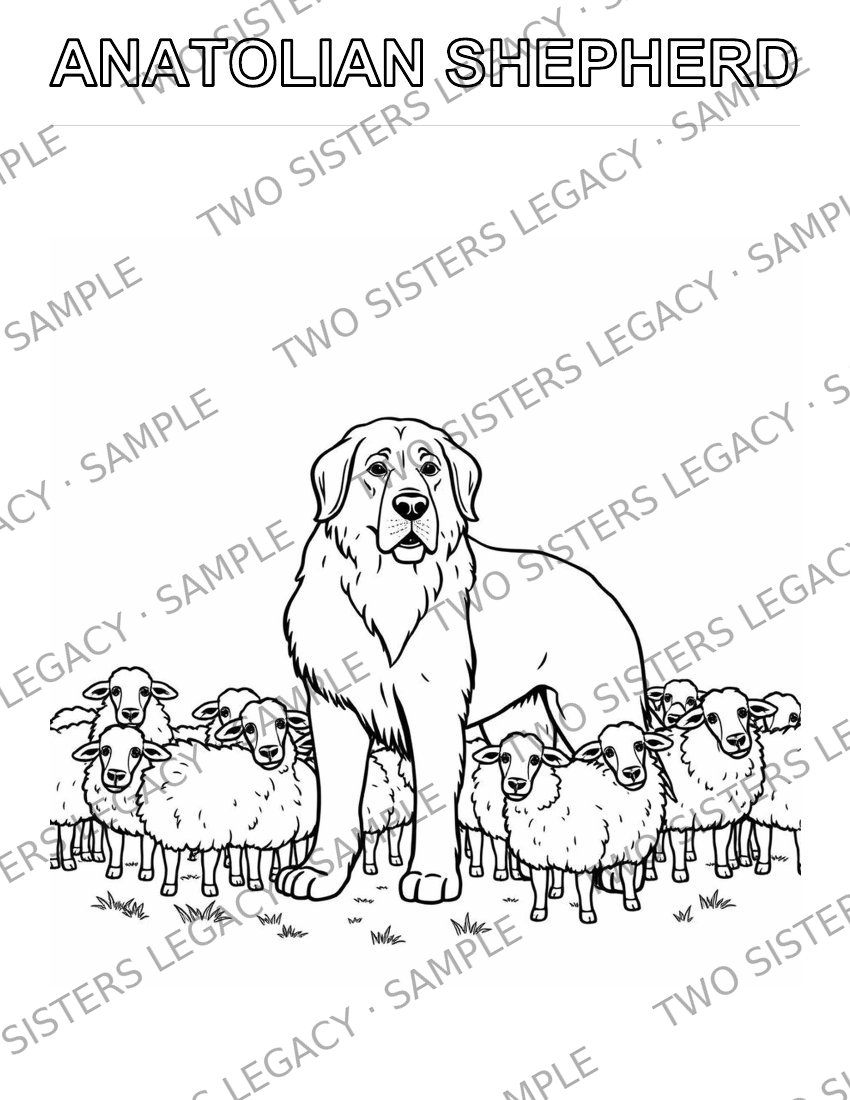 Anatolian Shepherd Coloring Page cover