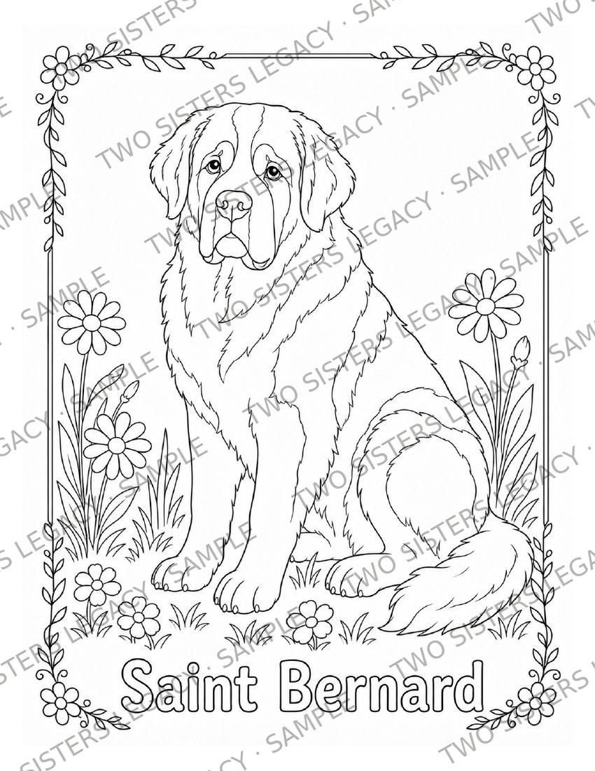 Saint Bernard Coloring Page cover