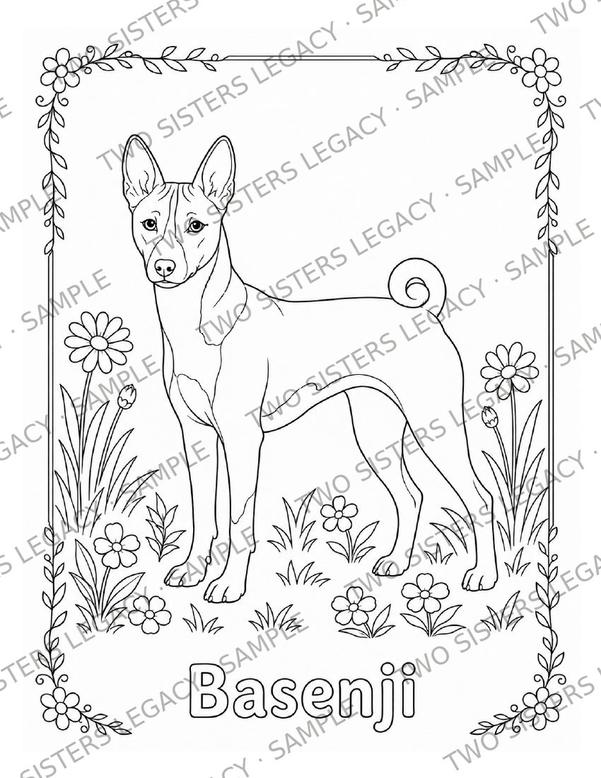 Basenji Coloring Page cover