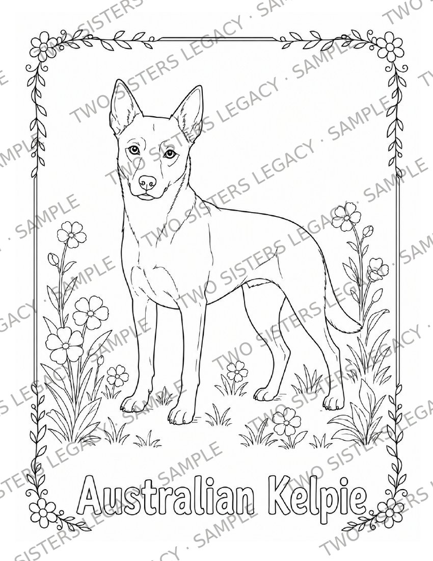Kelpie Coloring Page cover