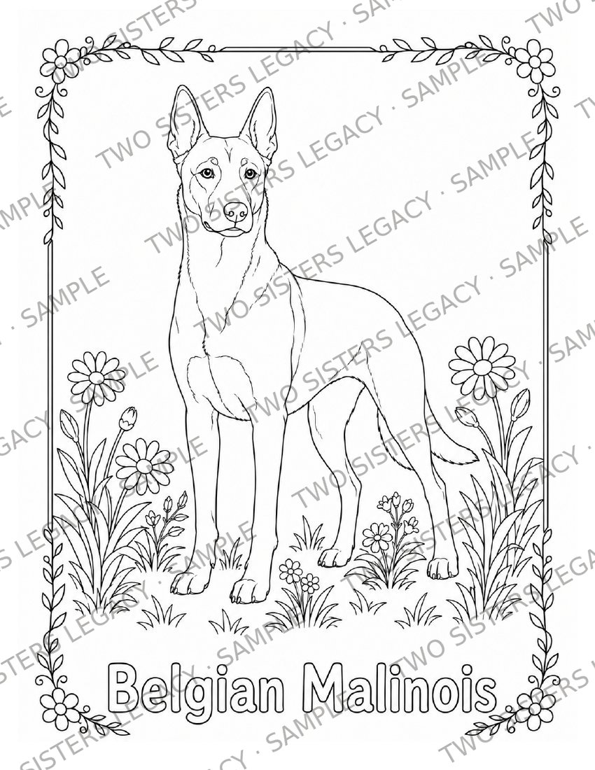 Belgian Malinois Coloring Page cover