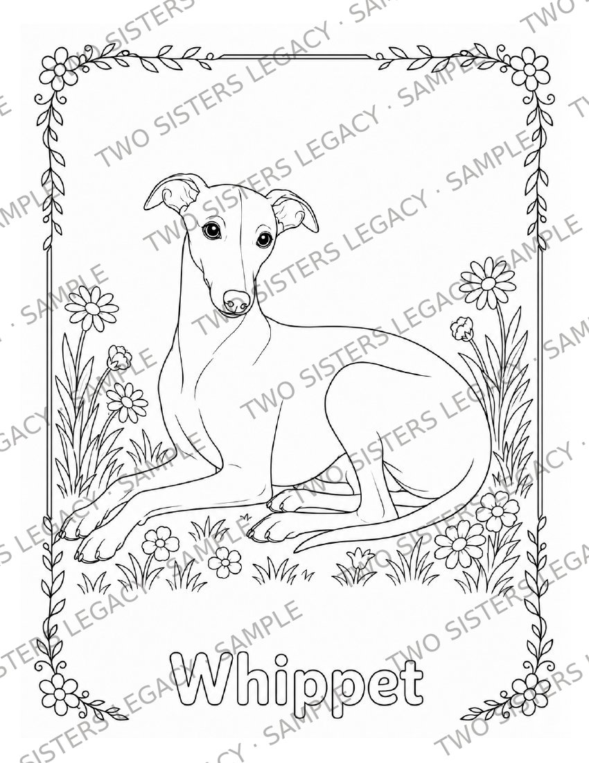 Whippet Coloring Page cover