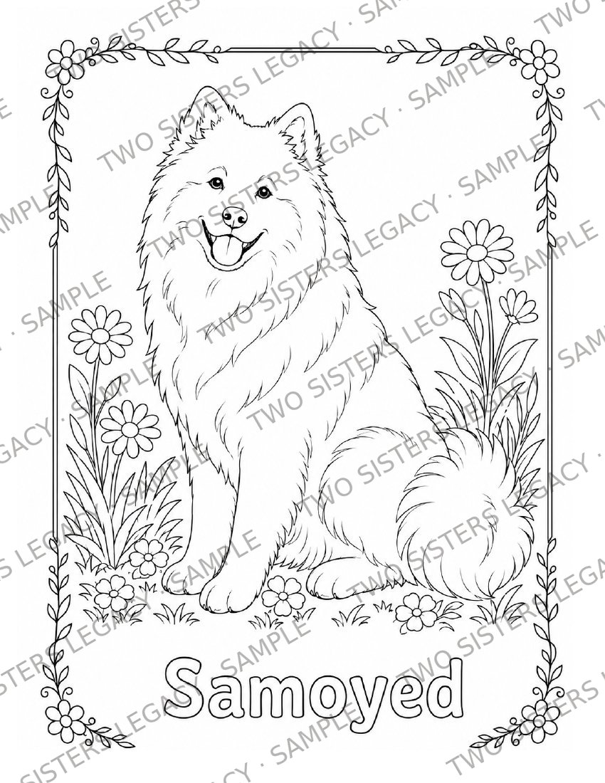 Samoyed Coloring Page cover