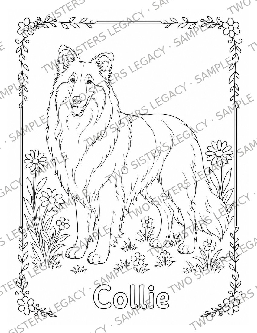 Collie Coloring Page cover