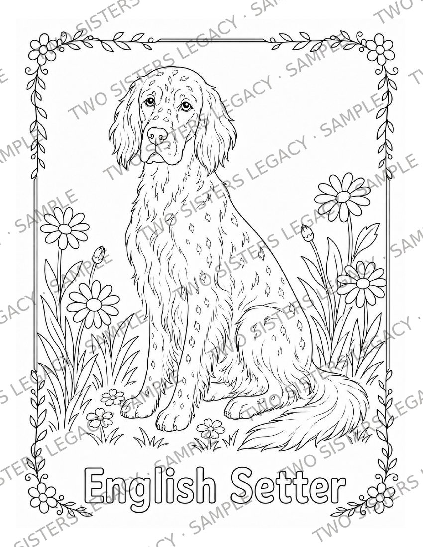 English Setter Coloring Page cover