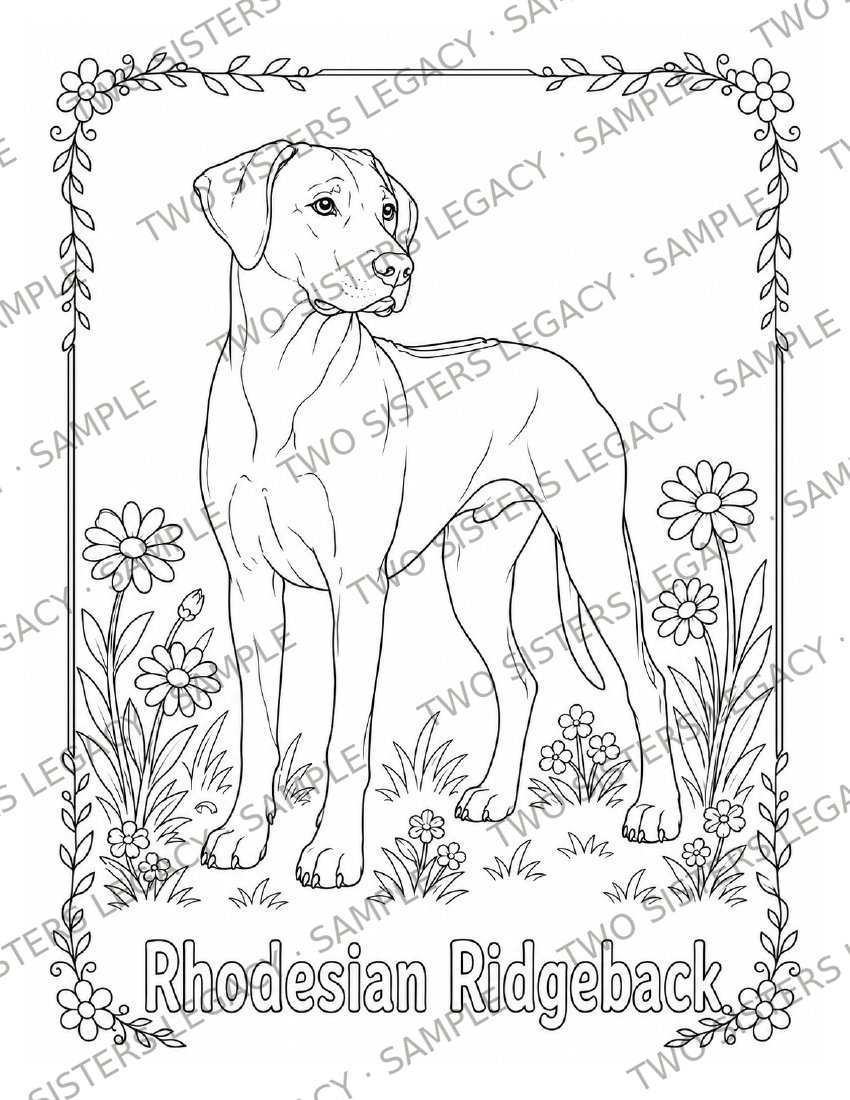 Rhodesian Ridgeback Coloring Page cover