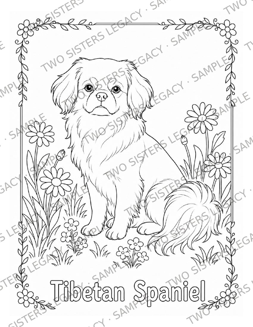 Tibetan Spaniel Coloring Page cover