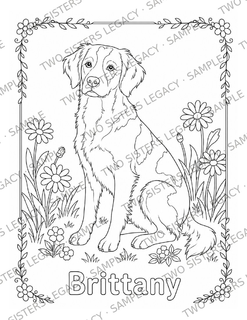 Brittany Spaniel Coloring Page cover