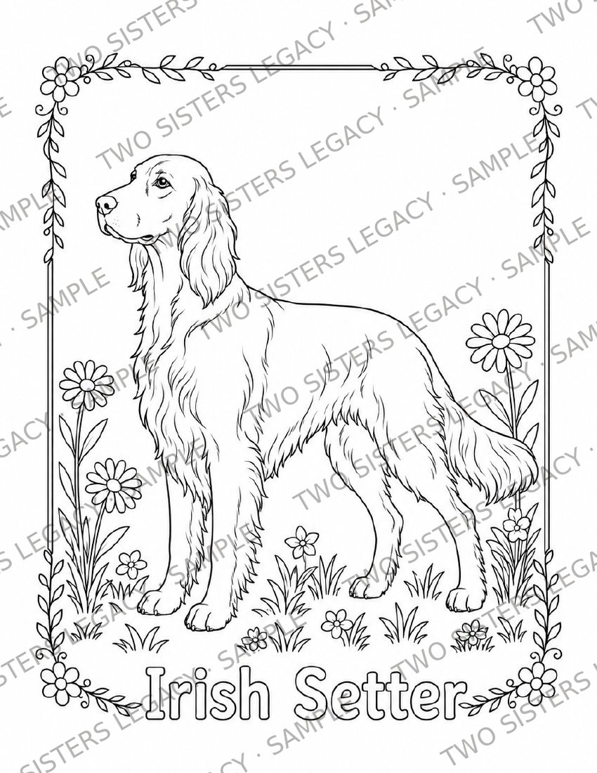 Irish Setter Coloring Page cover