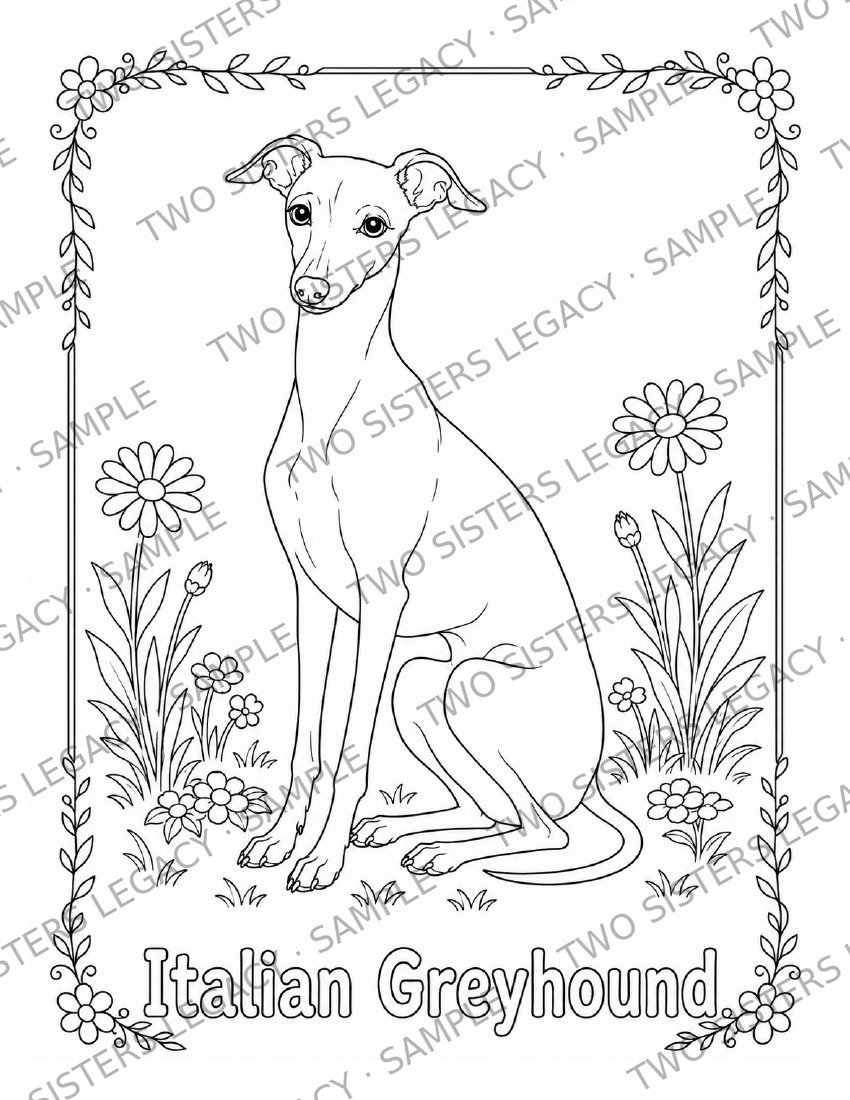 Italian Greyhound Coloring Page cover