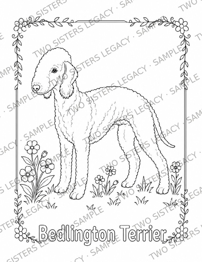 Bedlington Terrier Coloring Page cover