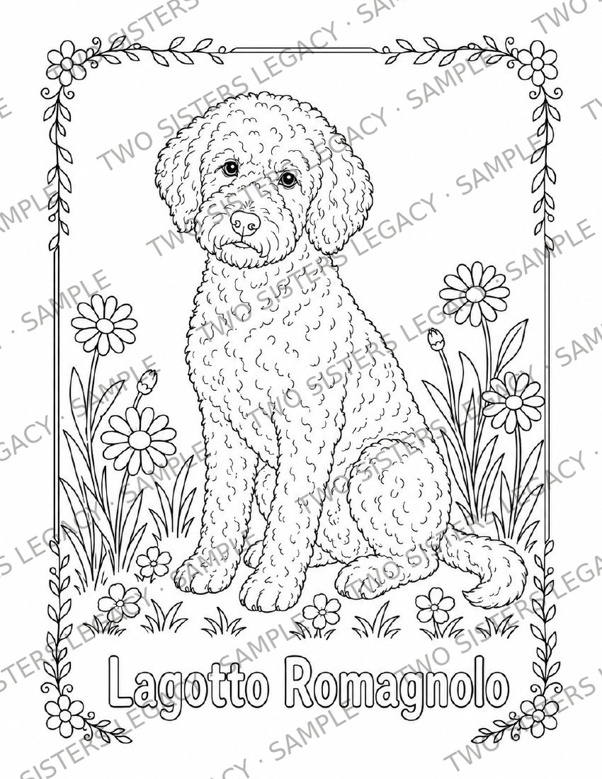 Lagotto Romagnolo Coloring Page cover