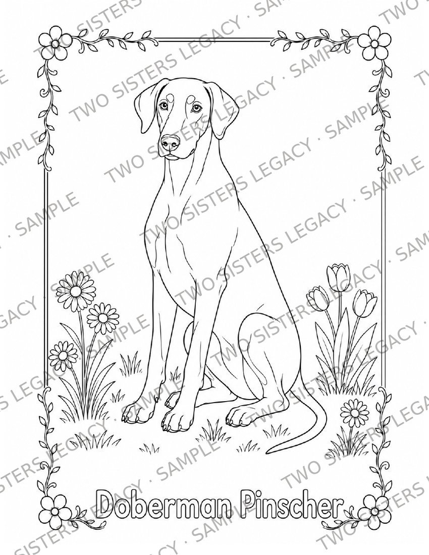 Doberman Coloring Page cover
