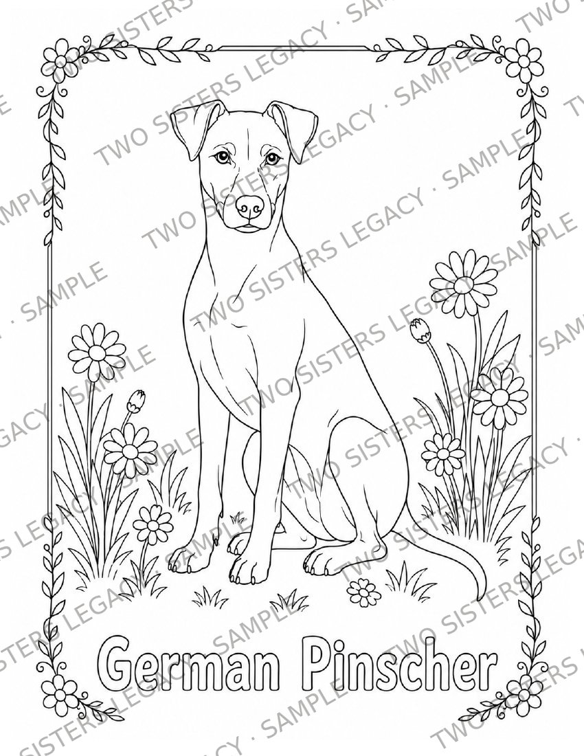 German Pinscher Coloring Page cover