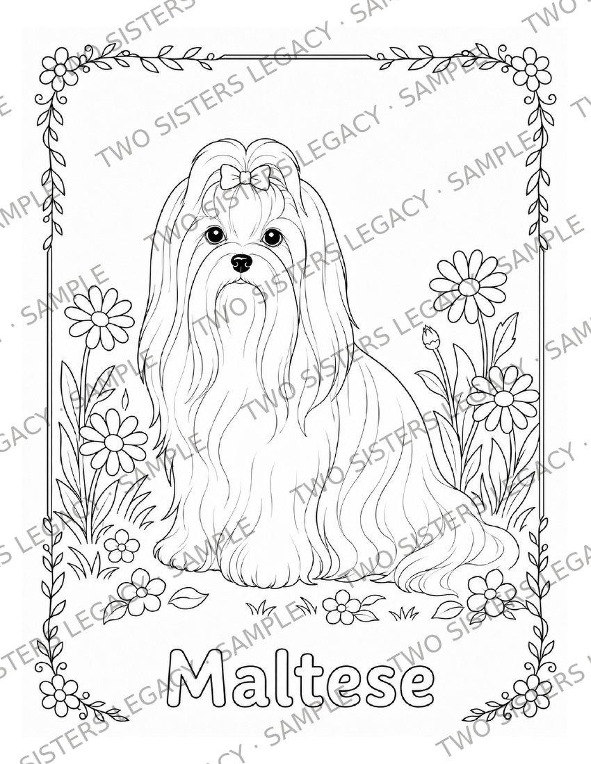 Maltese Coloring Page cover