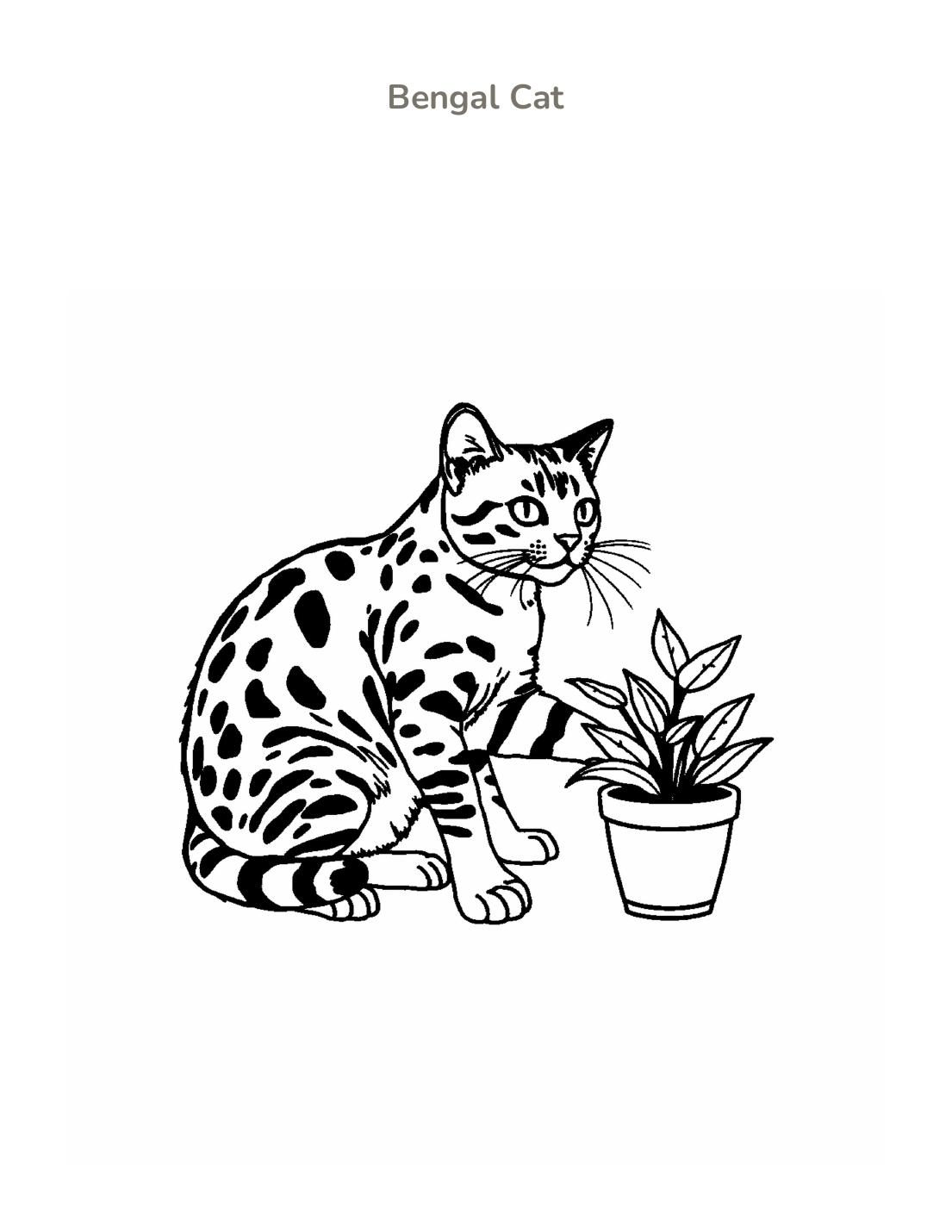 Bengal Cat Coloring Page cover
