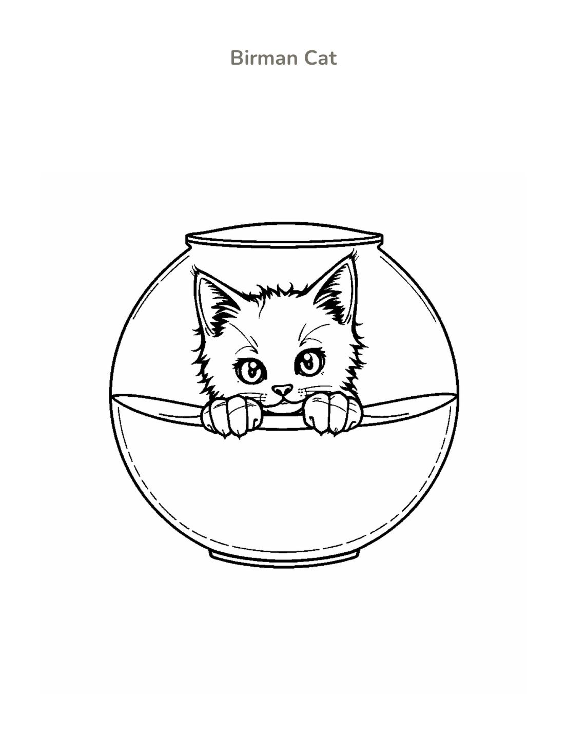 Birman Cat Coloring Page cover