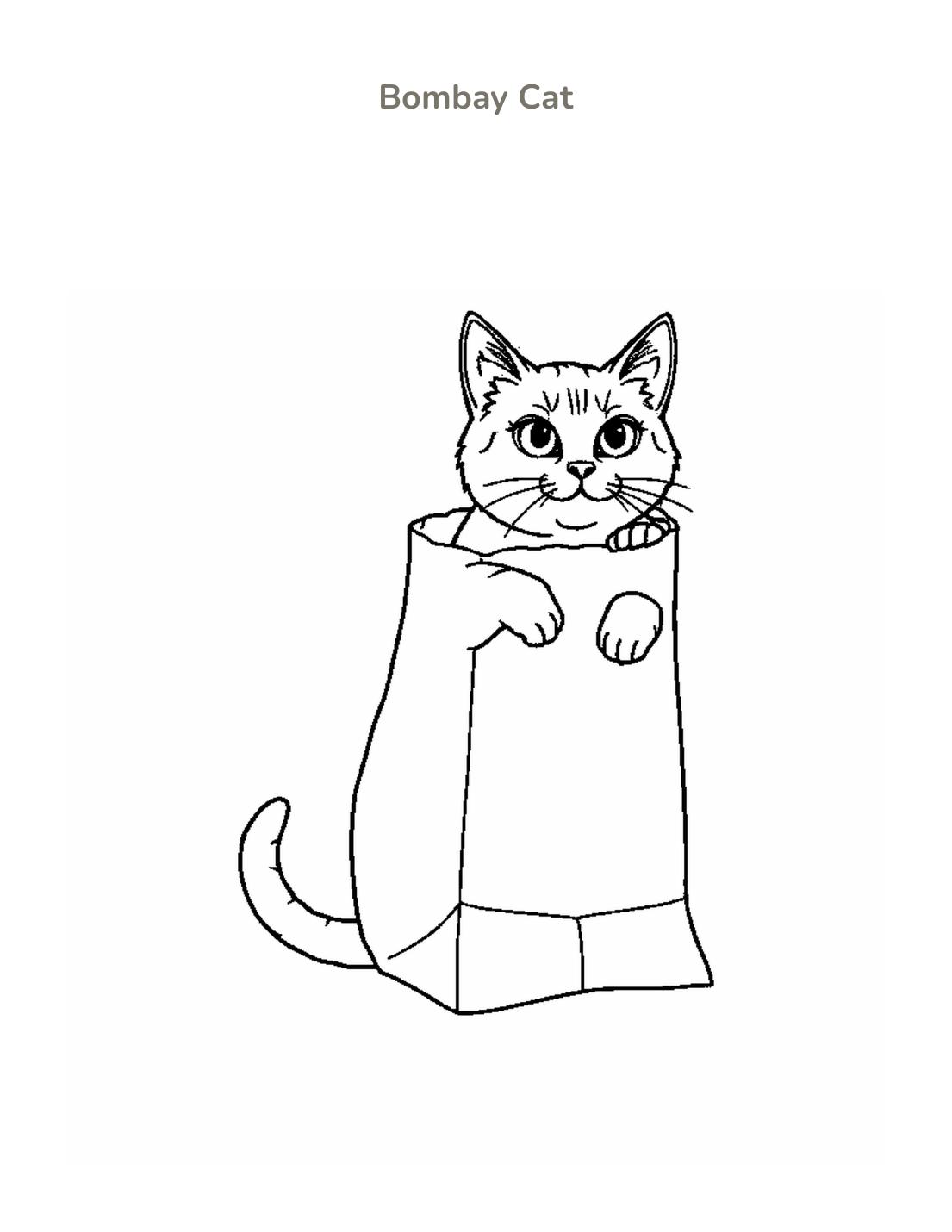 Bombay Cat Coloring Page cover